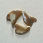 Horn Gua Sha Face Massage Board - Image 2